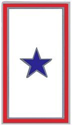 One Blue Star Service Banner Lapel Pin