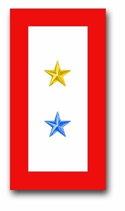 'ONE GOLD AND ONE BLUE STAR' SERVICE FLAG VINYL TRANSFER DECAL