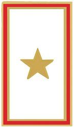 One Gold Star Service Banner Lapel Pin