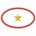 One Gold Star Service Banner Oval Decal