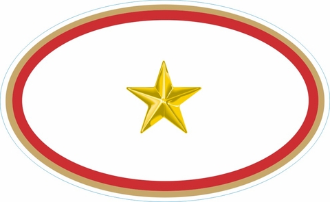 One Gold Star Service Banner Oval Decal