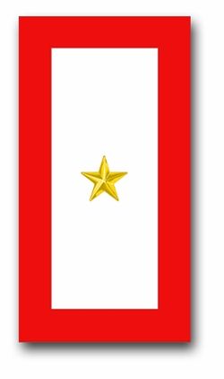 'ONE GOLD STAR' SERVICE FLAG VINYL TRANSFER DECAL