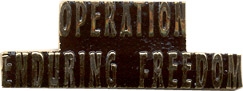 Operation Enduring Freedom Lapel Pin