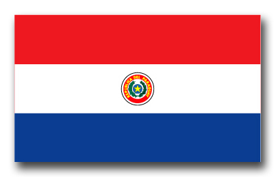 Paraguay Flag Vinyl Transfer Decal