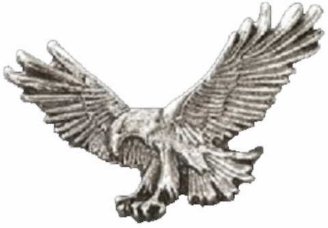 PGR Landing Eagle Lapel Pin