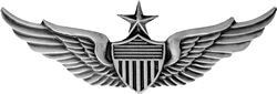Pilot - Senior Aviator Lapel Pin