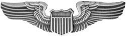 Pilot Wings 2 3/4" Badge