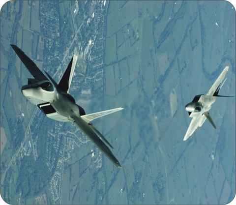 Raptor Row Mouse Pad