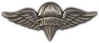 Rigger Aviator Wings Lapel Pin