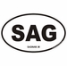 Saginaw Michigan Oval Decal