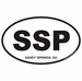 Sandy Springs Georgia Oval Decal