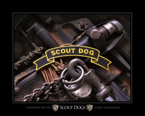 Scout Dogs