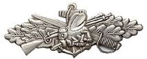 Seabees Combat Lapel Pin