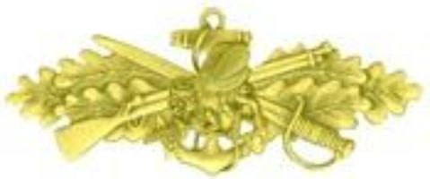 Seabees Combat Lapel Pin