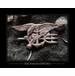 Seal Team 6 - Limited Edition - Giclee PrintSeal Team 6 - Limited Edition - Giclee Print