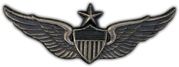 Senior Army Wings