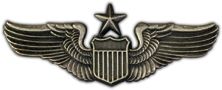 Senior Pilot Wings Lapel Pin