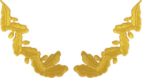 SINGLE SCRAMBLED (CDR / CAPT) EGGS