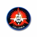 SPACE SHUTTLE COLUMBIA STS-02 VINYL TRANSFER DECAL