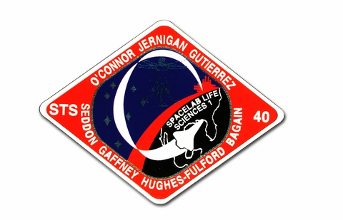 SPACE SHUTTLE COLUMBIA STS 40 VINYL TRANSFER DECAL