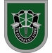 Special Forces Command Flash Decal