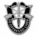 Special Forces Group Unit Crest Vinyl Transfer Decal