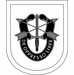 Special Forces Training Group Flash