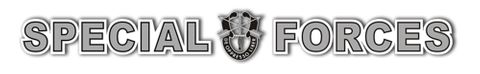 Special Forces Window Strip Decal