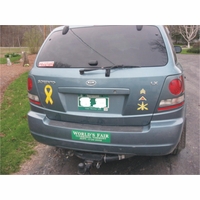 Steve Thumbnail Illustration