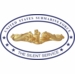 Submarine Force Silent Service with Gold Dolphins Oval Decal