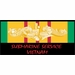 Submarine Service Gold Dolphins Vietnam Veteran Decal
