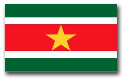 Suriname Flag Vinyl Transfer Decal