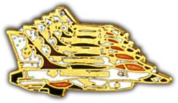 Thunderbirds Lapel Pin