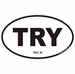 Troy Michigan Oval Decal