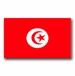 Tunisia Flag Vinyl Transfer Decal