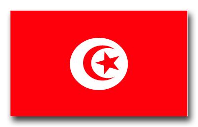 Tunisia Flag Vinyl Transfer Decal