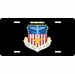 U.S. Air Force 16th Special Operations Wing License Plate