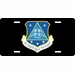 U.S. Air Force 180th Fighter Wing License Plate