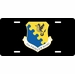 U.S. Air Force 31st Fighter Wing License Plate
