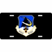 U.S. Air Force 343rd Wing License Plate