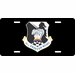U.S. Air Force 347th Fighter Wing License Plate