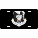U.S. Air Force 347th Wing License Plate