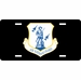 U.S. Air Force Air National Guard License Plate