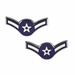 U.S. Air Force Airman Collar Device Pin
