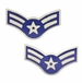 U.S. Air Force Airman First Class Collar Device Pin