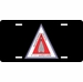 U.S. Air Force F-111 License Plate