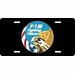 U.S. Air Force F-16 Fighting Falcon License Plate