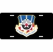 U.S. Air Force Flight Standards Agency License Plate