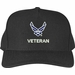 U.S. Air Force Hap Wings Veteran Cap