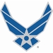 U.S. Air Force HAP Wings Vinyl Decal